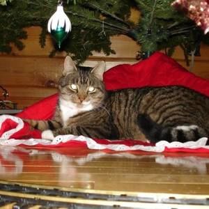 Meet your Posher, Katherine